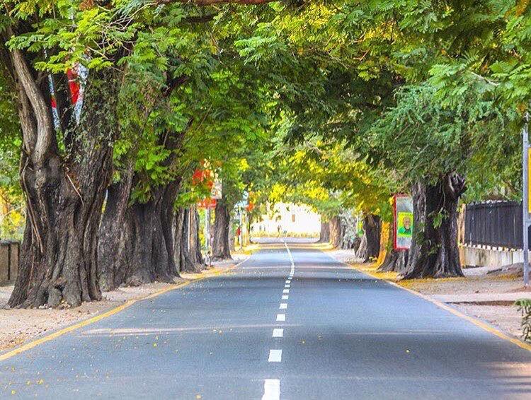 27849010_891979757642305_1951001394_n